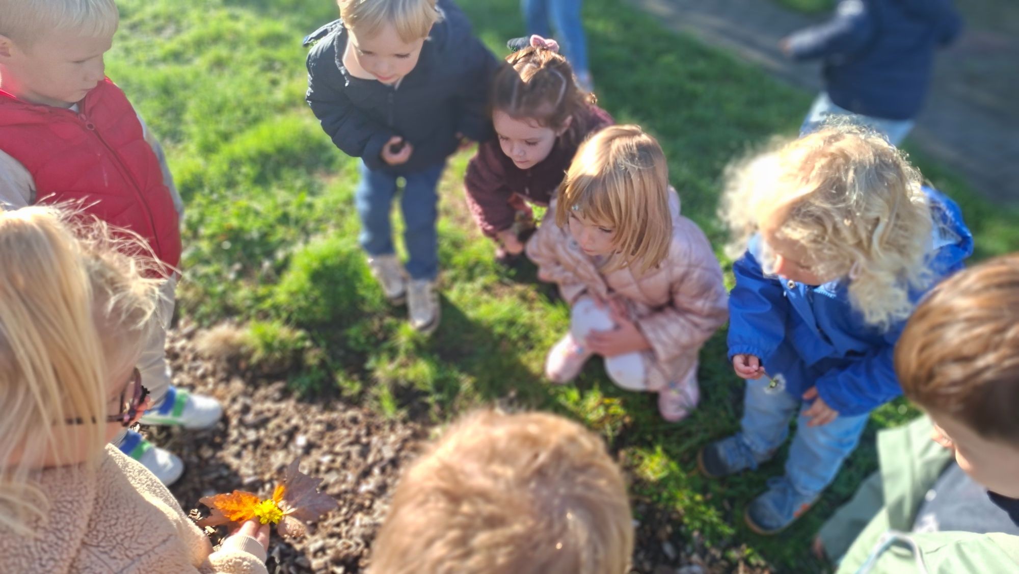 K0A K1A Zonnige herfstwandeling